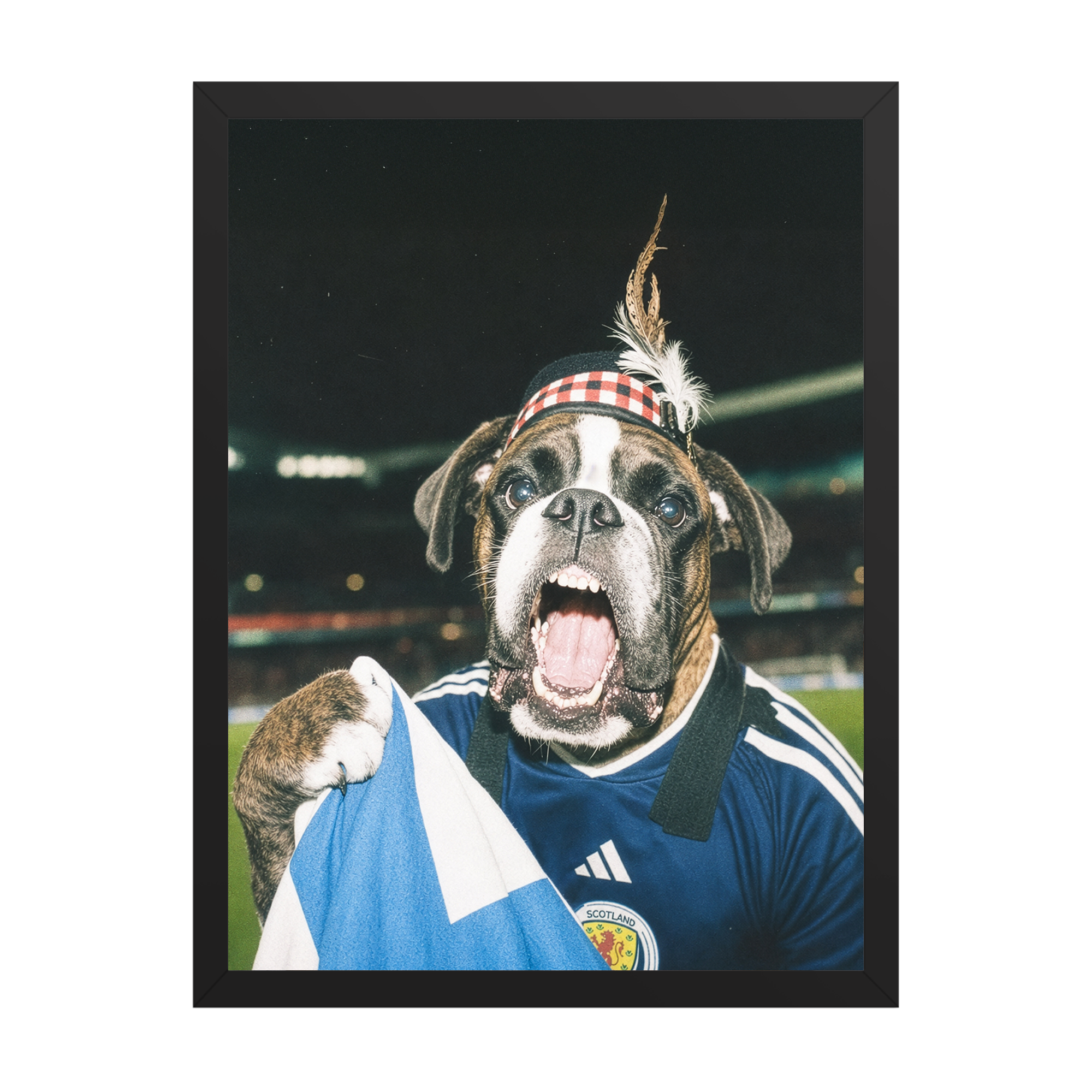 "Tartan Army" - Custom Framed Pet Portrait