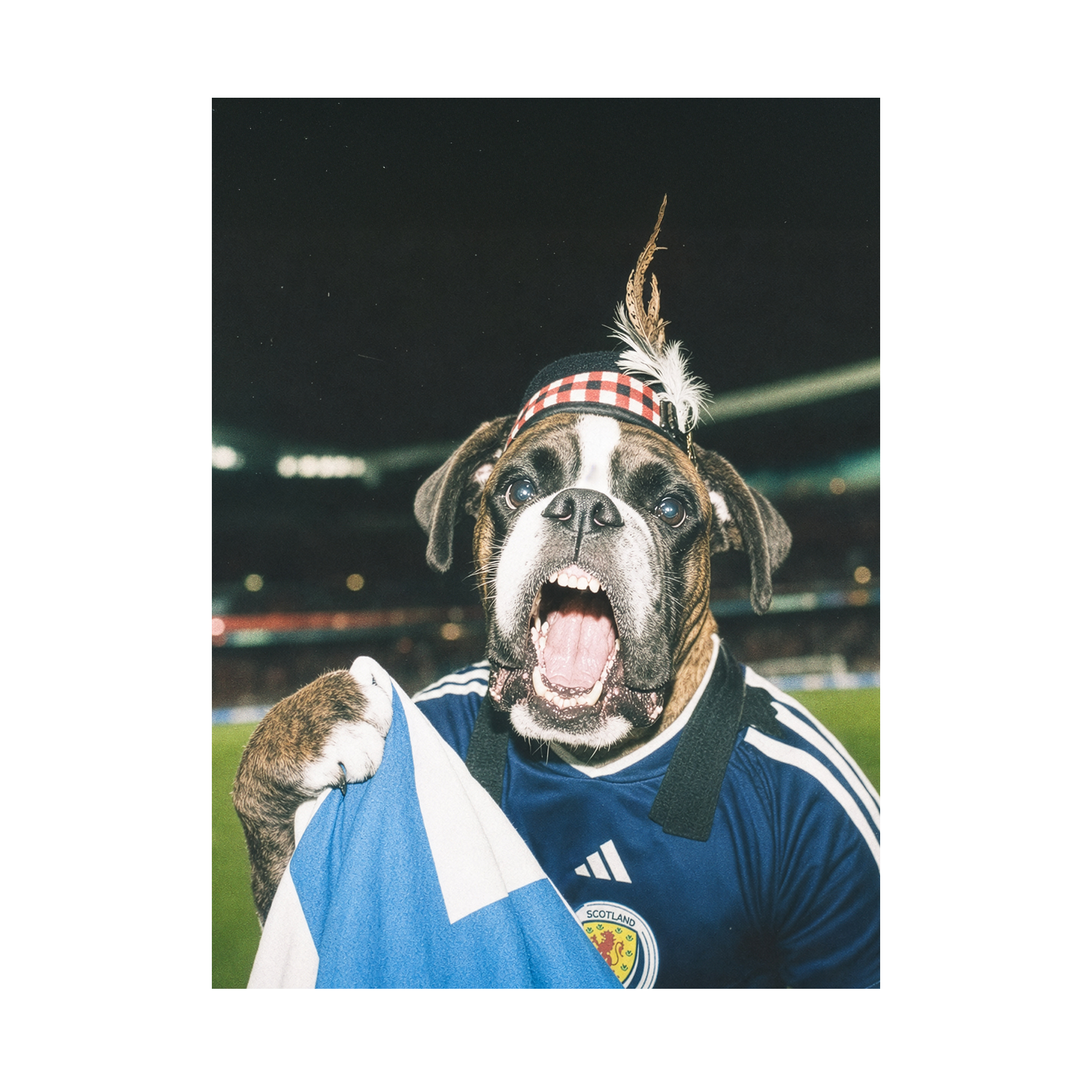 "Tartan Army" - Custom Framed Pet Portrait
