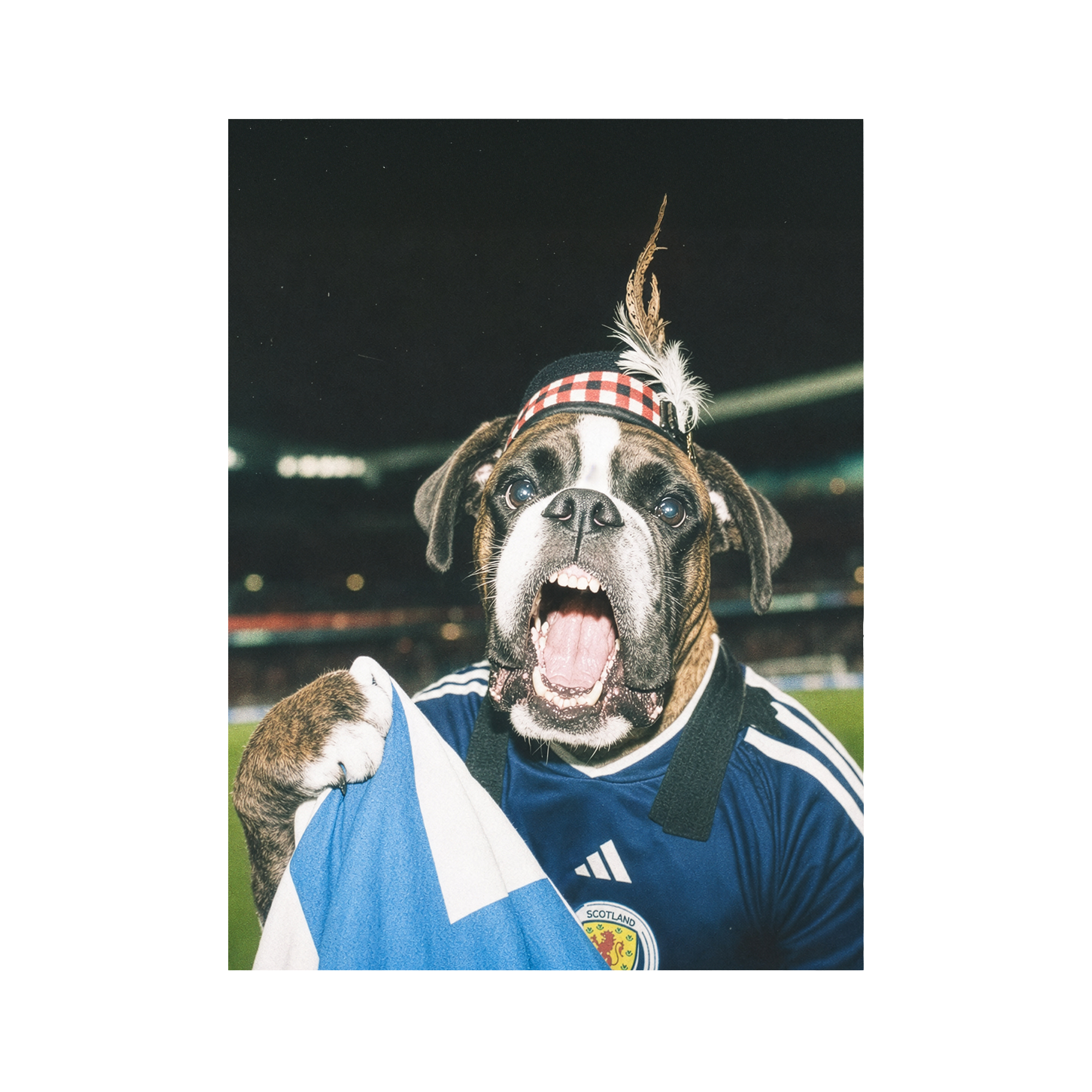 "Tartan Army" - Custom Framed Pet Portrait