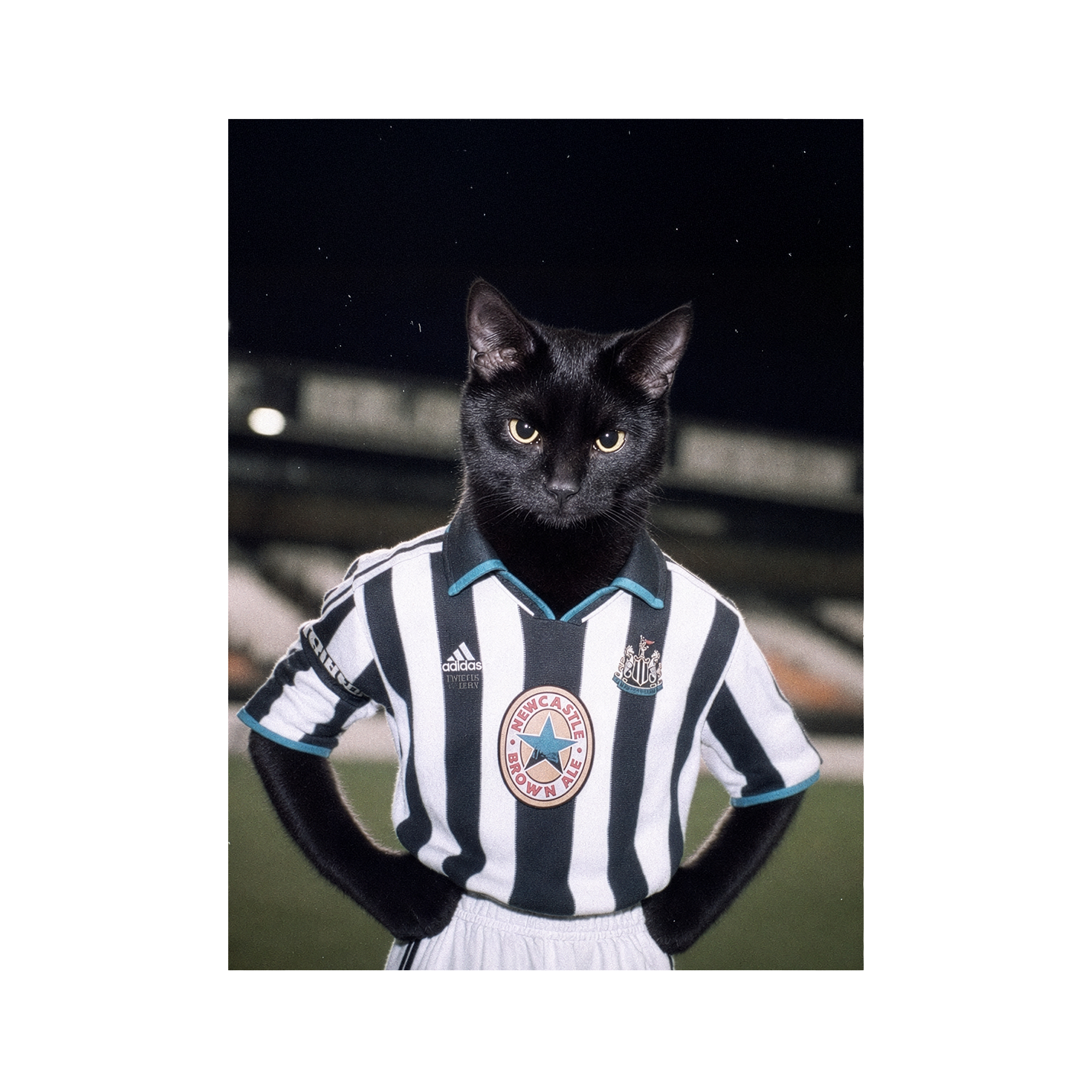 "The Toon" - Custom Framed Pet Portrait